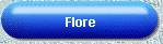 Flore