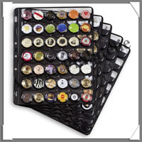 Pages GRANDE Champagne - Set de 5 Pages + 5 Intercalaires (CHAMP 42)
