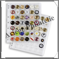 Pages GRANDE Champagne - Set de 2 Pages Transparentes pour CAPS CHAMP (ENCAP C CHAMP)