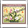 Libéria - Année 2000 - N°2719 à 2726 - Orchidées Tropicales (1) Loisirs et Collections