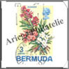 Bermudes