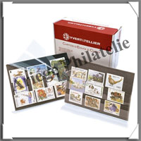 CARTES de CLASSEMENT - 158x110 mm - Carton Noir - 3 Bandes - AVEC Protection (2029)