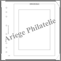 Feuilles AV MFH- Feuilles pour Mini-Feuilles Verticales (Paquet de 5)  (AV-MFV)