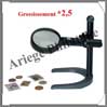 LOUPE de BUREAU - LUMINEUSE - Grossissement x2,5 - Lentille 90 mm (324598 ou LU160) Leuchtturm