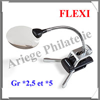 LOUPE de BUREAU Flexible - 2 LED - Grossissement x2,5 et x5  - Lentille 88 mm (367083 ou LU163F)