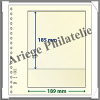 Feuilles NEUTRES - LINDNER T - 1 BANDE - 189x185 mm (802103)