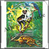 Comores - Blocs (Pochettes) Loisirs et Collections