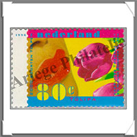 Pays-Bas - Grands Formats (Pochettes)