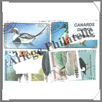 Canards (Pochettes)