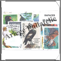 Rapaces (Pochettes)