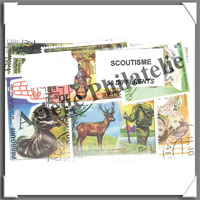 Scoutisme (Pochettes)